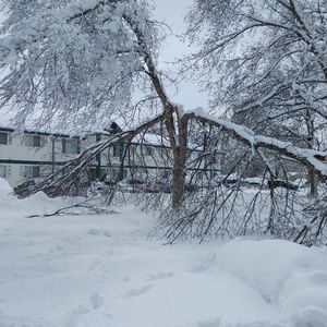 Meet your Posher, Starla